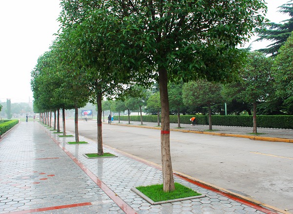 路