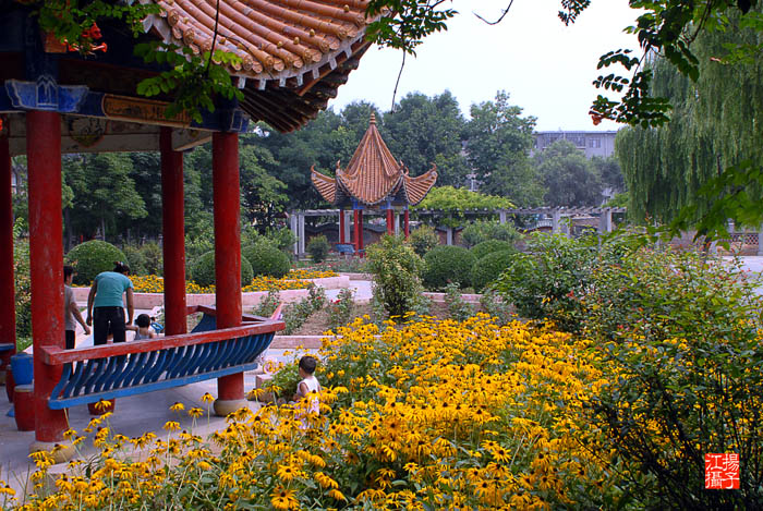 我们的家园-----城市一隅