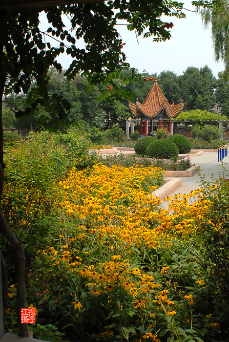 我们的家园-----城市一隅