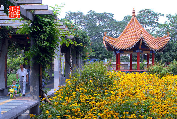 我们的家园-----城市一隅