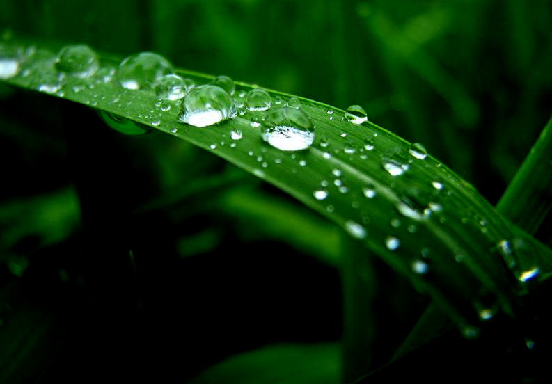 [原创]雨后