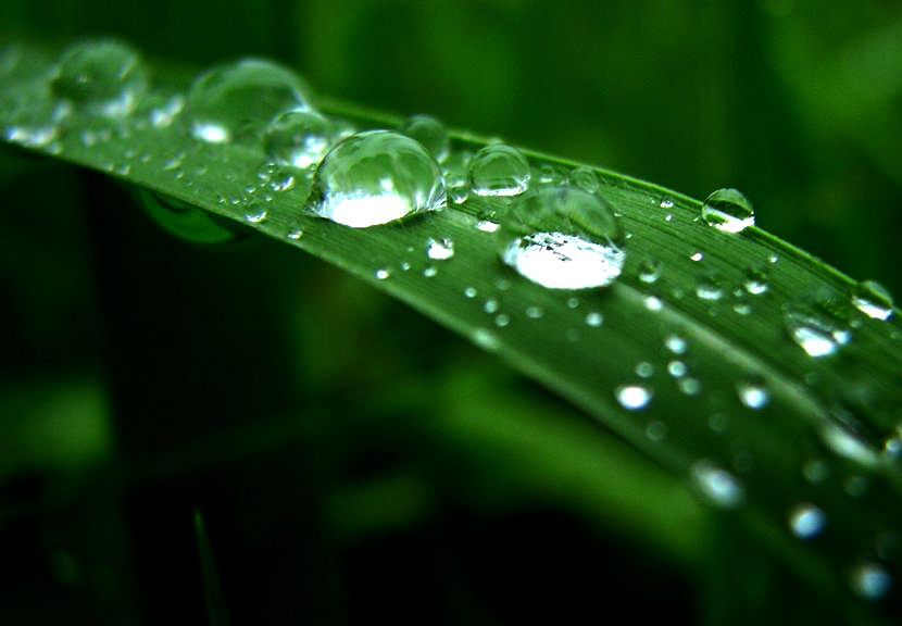 [原创]雨后