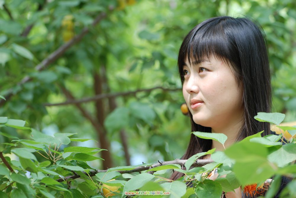 青春飞舞