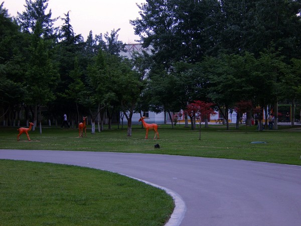 黄昏