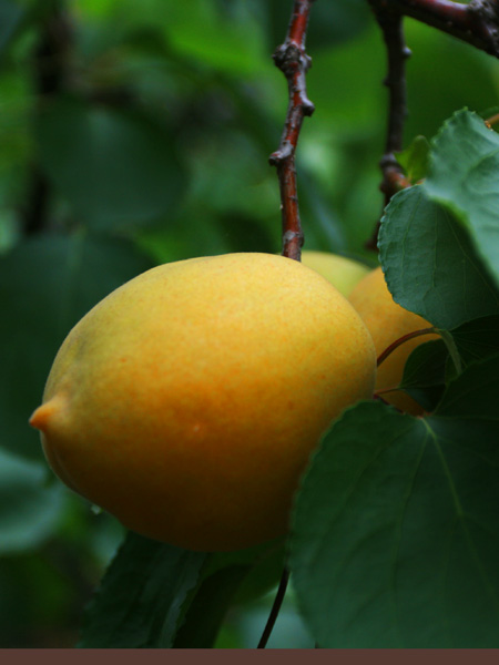 jKWsX9hD.jpg