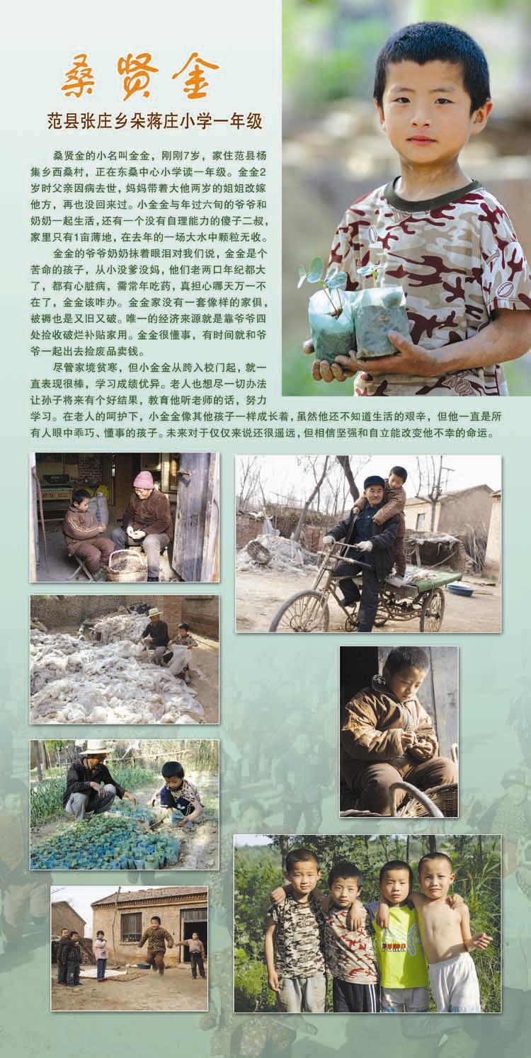 527“追逐梦想，共享阳光”爱心公益摄影展板
