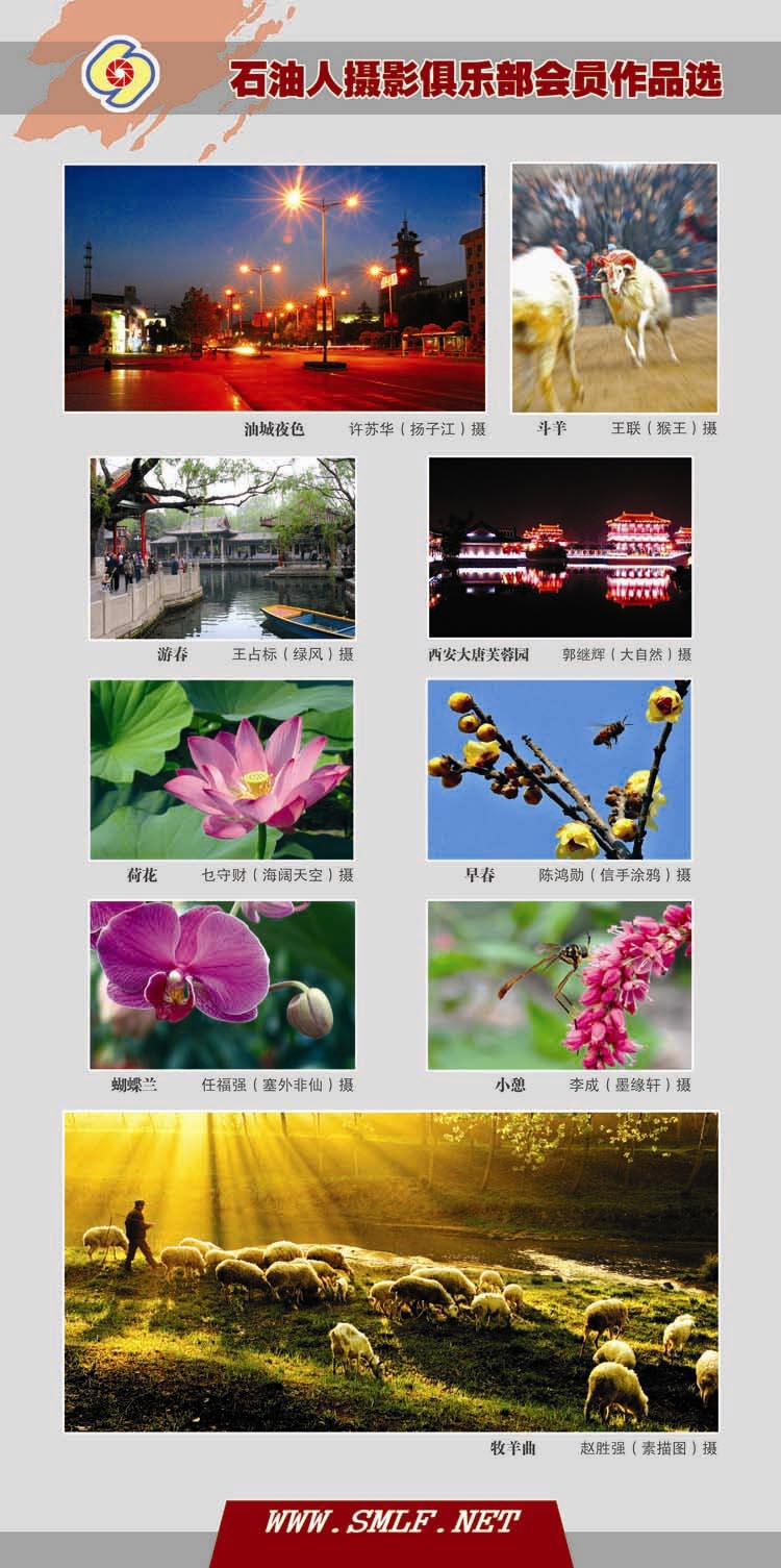 527“追逐梦想，共享阳光”爱心公益摄影展板