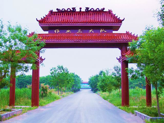 （学拍）大队