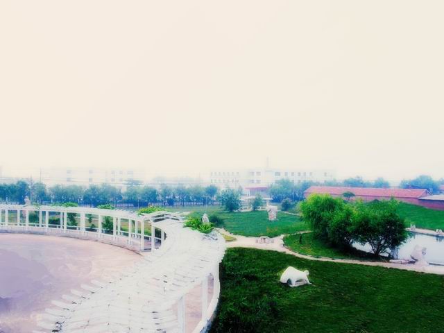 （学拍）大队