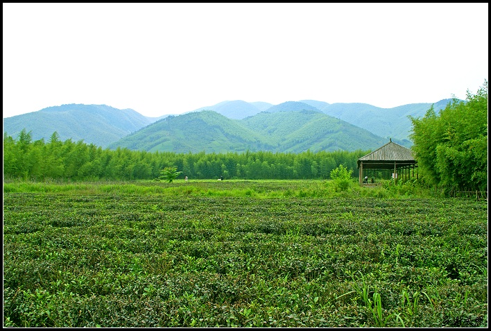 苏州水乡—双溪小景