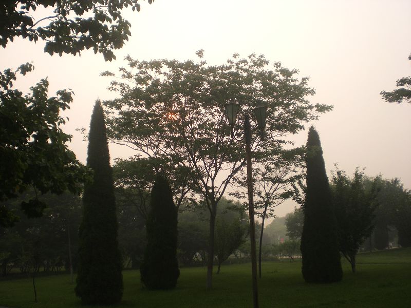 早晨的戚城