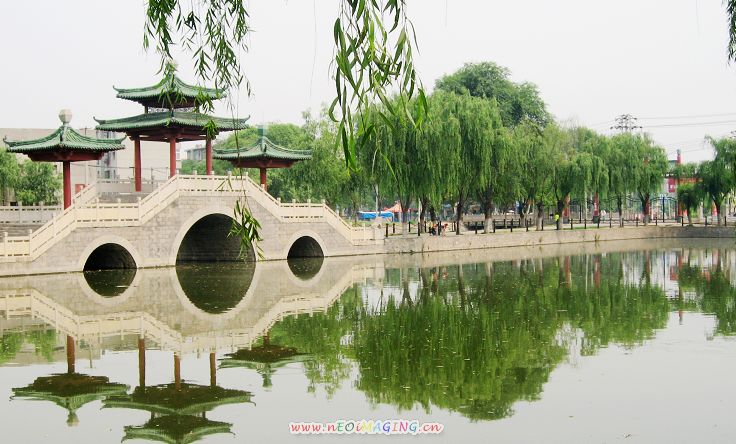 新蕾公园的几张小片