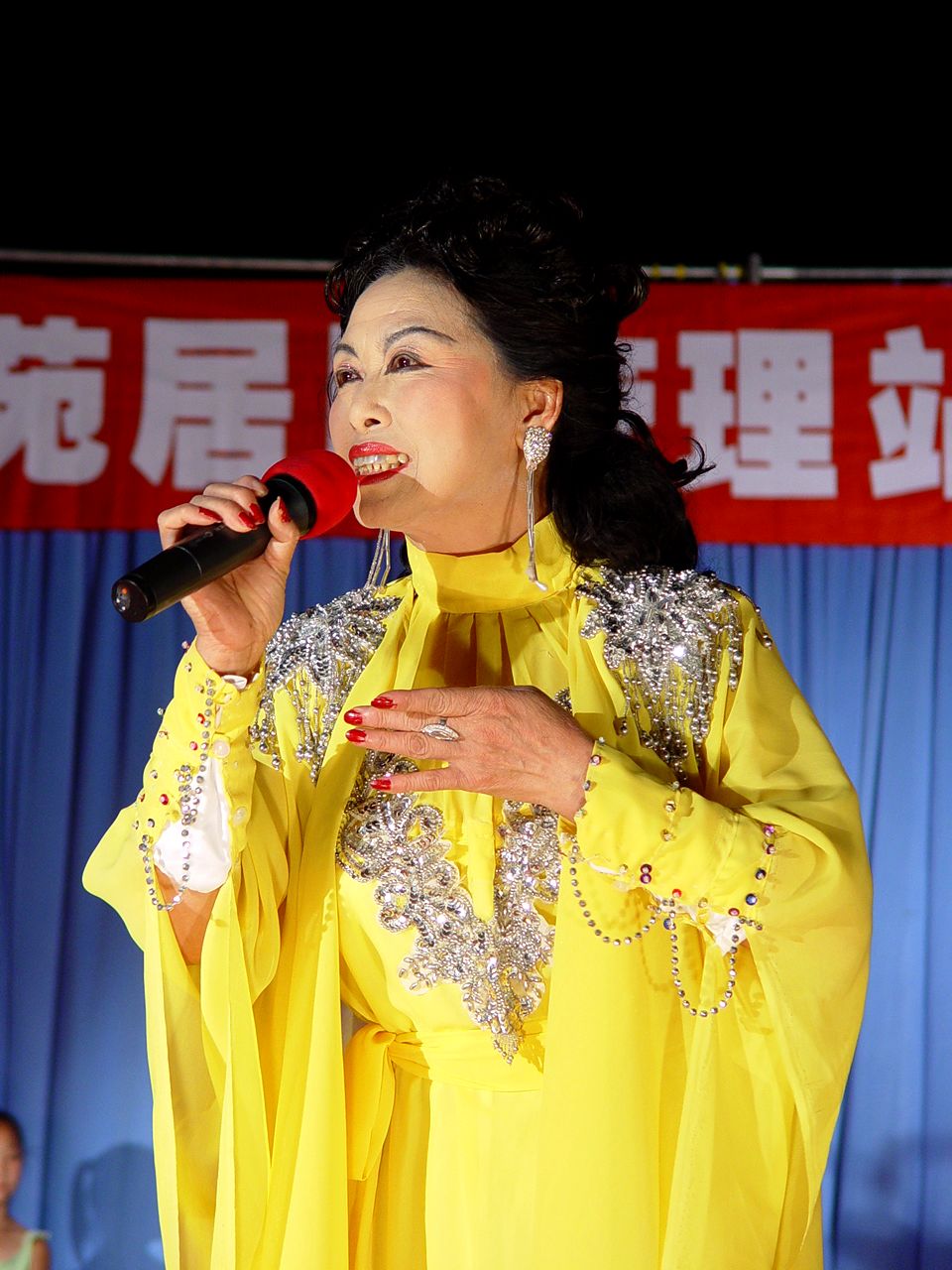世纪景苑居民管理站消夏文艺晚会