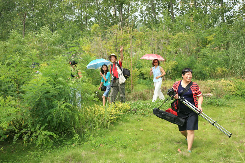 人像之专题报道