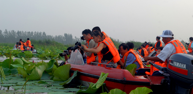 色友湖中采荷忙