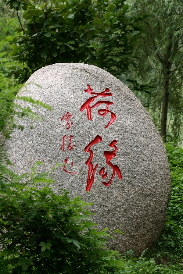 荷缘