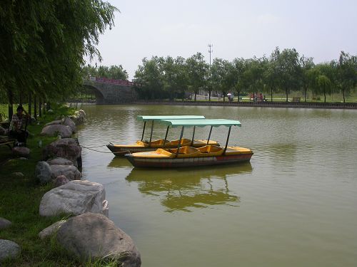 相伴