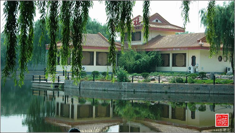 新蕾公园摄影讨论区，有新蕾公园图片的请进