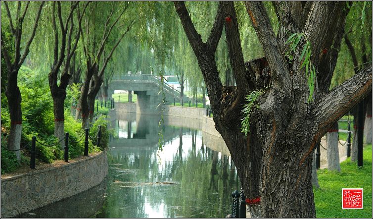 新蕾公园摄影讨论区，有新蕾公园图片的请进