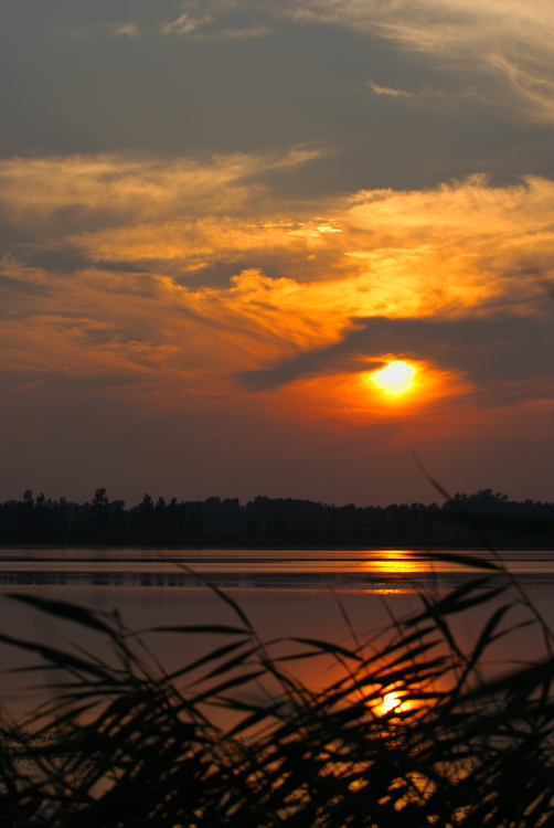 [原创]黄河夕照