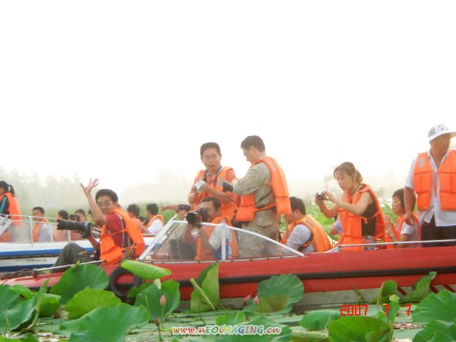 色友湖中采荷忙
