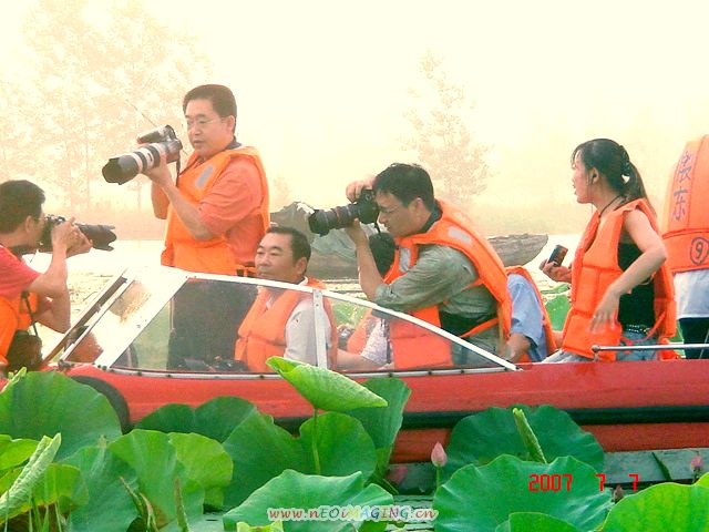 色友湖中采荷忙