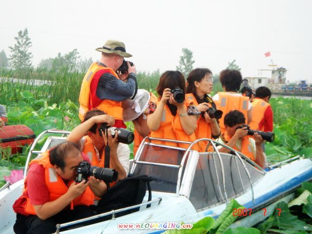色友湖中采荷忙