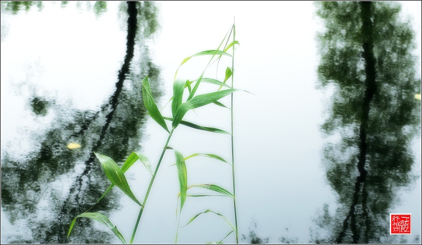 微山湖上~~~~~~~~~