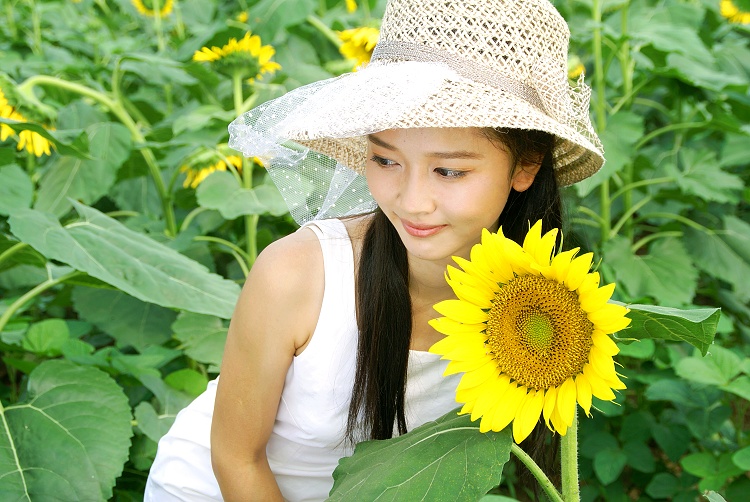 *太阳花...天使*...