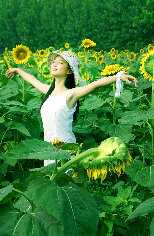 *太阳花...天使*...