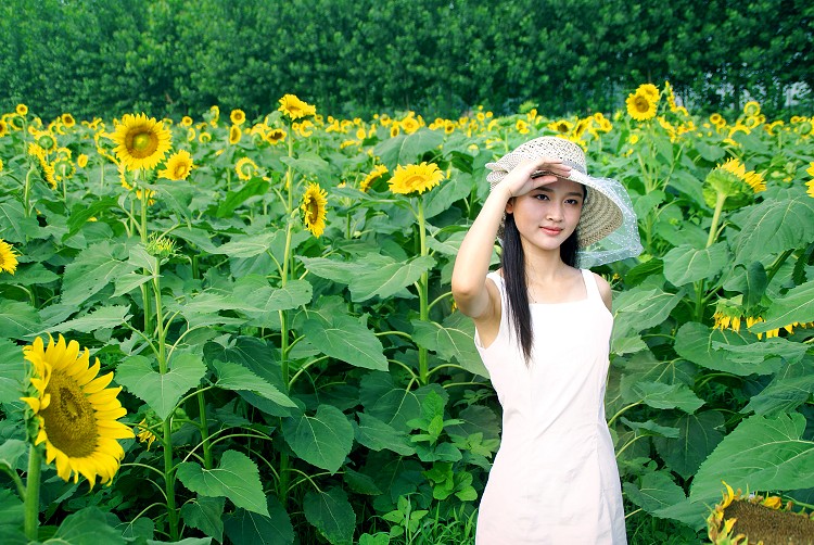 *太阳花...天使*...