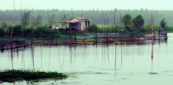 小景小片