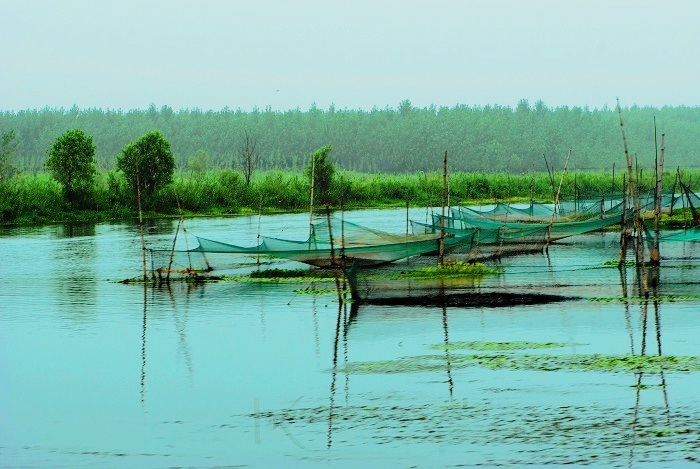 小景小片