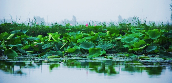 小景小片