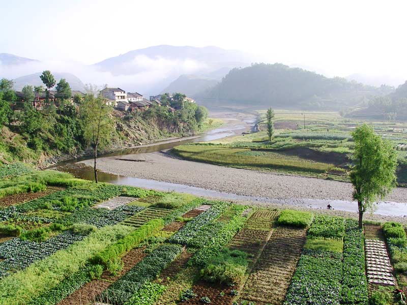 蜀道小镇----阳平关