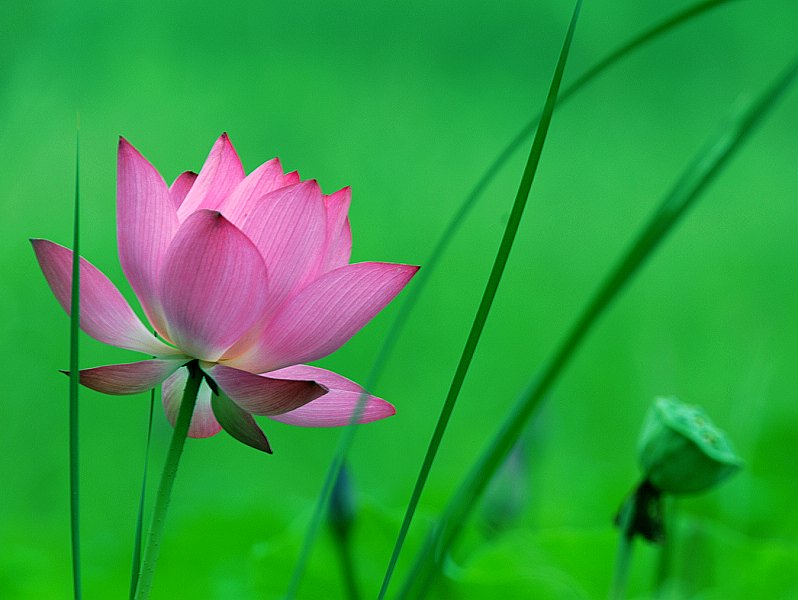濮上之色
