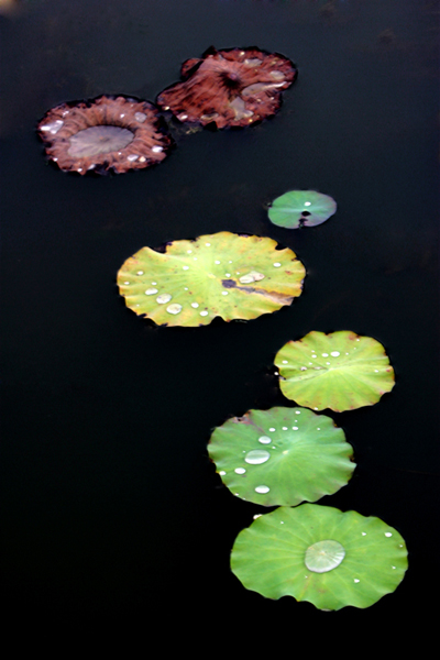 小片