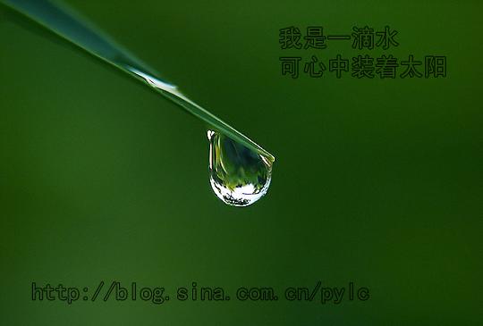 水滴习作一组