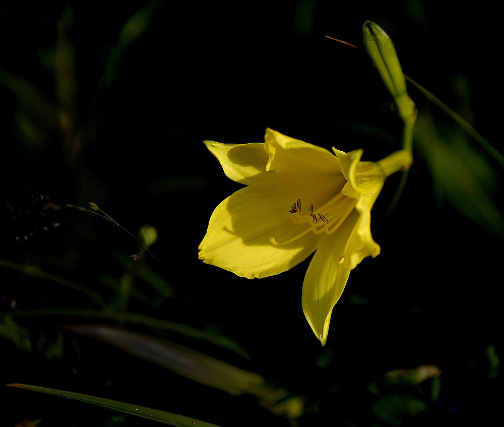 花一组