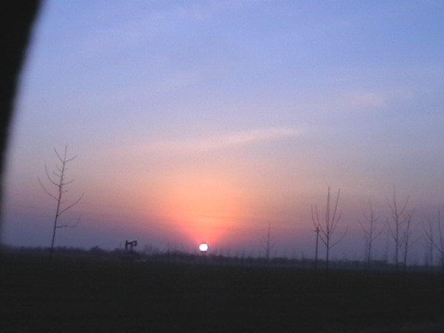 看夕阳