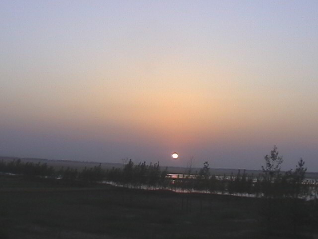 看夕阳