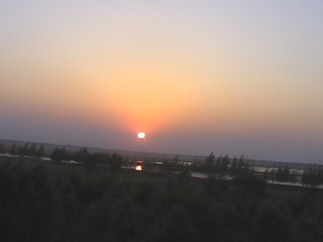 看夕阳
