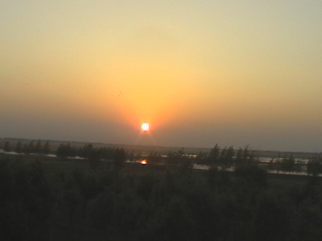 看夕阳