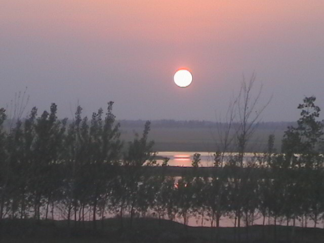 看夕阳