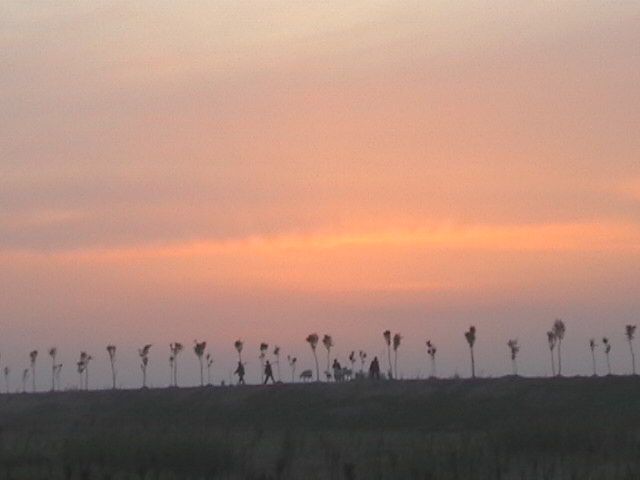 看夕阳