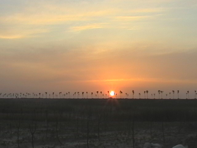 看夕阳