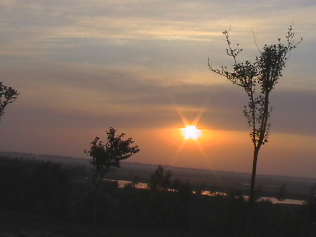 看夕阳