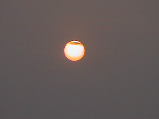 看夕阳