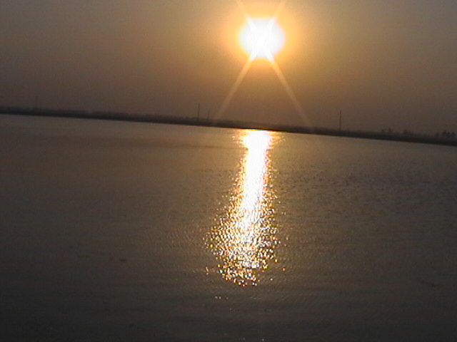 看夕阳