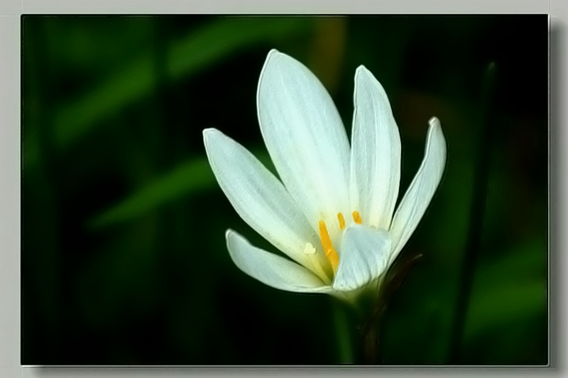 小花
